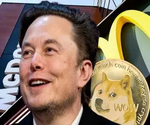 ایلان ماسک با دوج کوین چیکارکرد؟