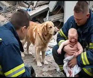 قهرمان چهار پا؛ کمک سگ به نجات نوزاد گیر افتاده پس از زلزله ویرانگر