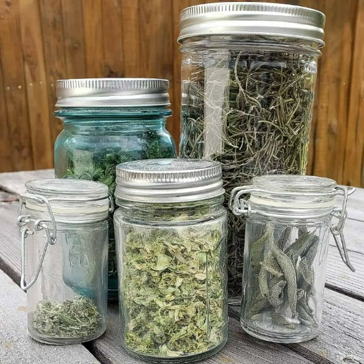 نگهداری-سبزی-خشک