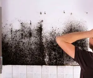 راه های تشخص و رفع؛ نم و رطوبت چیست؟