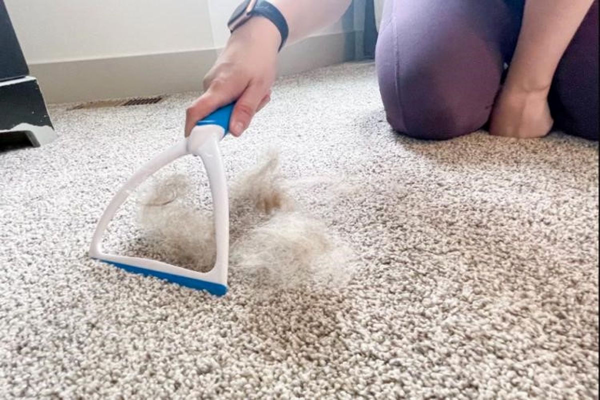 جمع کردن مو از روی فرش