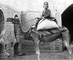 یک عکس یک روایت؛ شتر شده کارمند اداره پست قاجار مرسولات پستی رو میرسونه مقصد