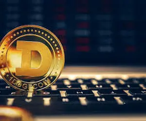 دوج کوین به پادشاهی برگزیده شد؟!