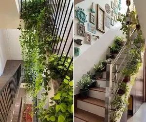 گیاهان مناسب راه پله سرد و تاریک؛ گل های همیشه سبز و مقاوم که نه نور میخوان و نه گرما