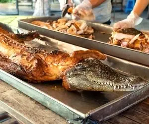 فرآوری کروکودیل؛ تمساح رو انگار گوسفنده سلاخی می کنن و گوشتش رو چرخ می کنن واسه کتلت