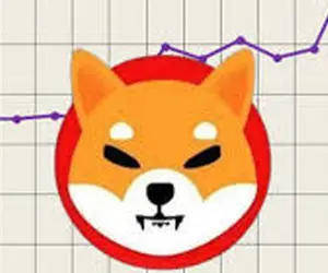 شیبااینوجنجالی جدید به پاکرد؟!