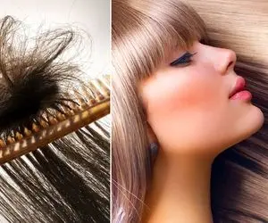 بهترین شامپوها جهت شلاقی شدن مو و ازبین بردن موخوره؛ راهنما چنگ زدن مو، خشک و نگهداری