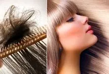 بهترین شامپوها جهت شلاقی شدن مو و ازبین بردن موخوره؛ راهنما چنگ زدن مو، خشک و نگهداری