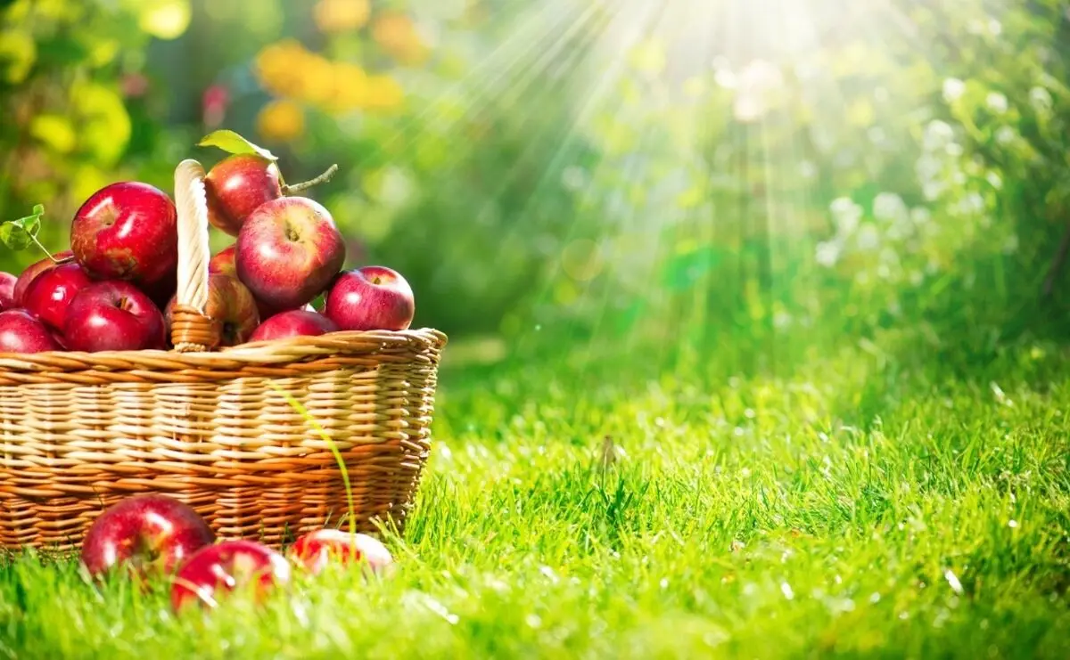 Health benefits of apple