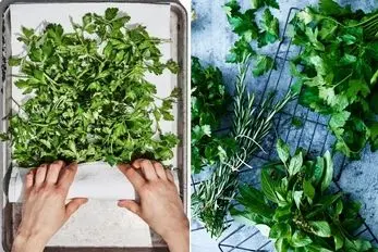 تازه نگه داشتن سبزی خوردن با این روش تا 2هفته/ لازم نیس کار شاقی کنی یکم سلیقه میخواد