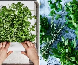 تازه نگه داشتن سبزی خوردن با این روش تا 2هفته/ لازم نیس کار شاقی کنی یکم سلیقه میخواد