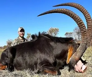 شاهکار حیات وحش؛ حیواناتی که منطق را به چالش می کشند و دانشمندان را شگفت زده می کنن