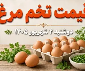 قیمت تخم مرغ امروز دوشنبه 2 شهریور 1405 / شانه 30 عددی چند؟