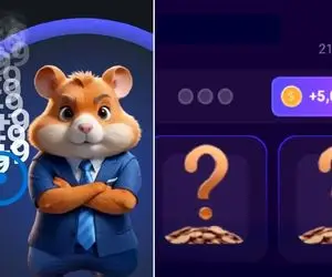 کارت های همستر کامبت امروز شنبه 3 شهریور + آموزش وارد کردن