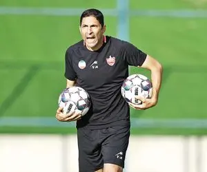 اختلاف نظر در کادر فنی پرسپولیس