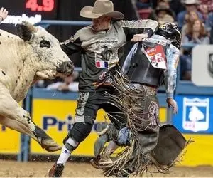 تاخت‌وتازهای خونین؛ گاو عصیانگر تو بازی گاوچرونو داورو کوبید دیوار سرشون شکست