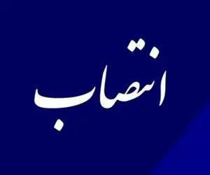 الهام غلامی به عنوان عضو هیات نظار بانک مرکزی منصوب شد