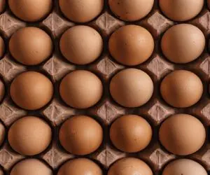 قیمت تخم مرغ امروز یکشنبه 18 مرداد 1405 / تخم مرغ به ثبات رسید؟