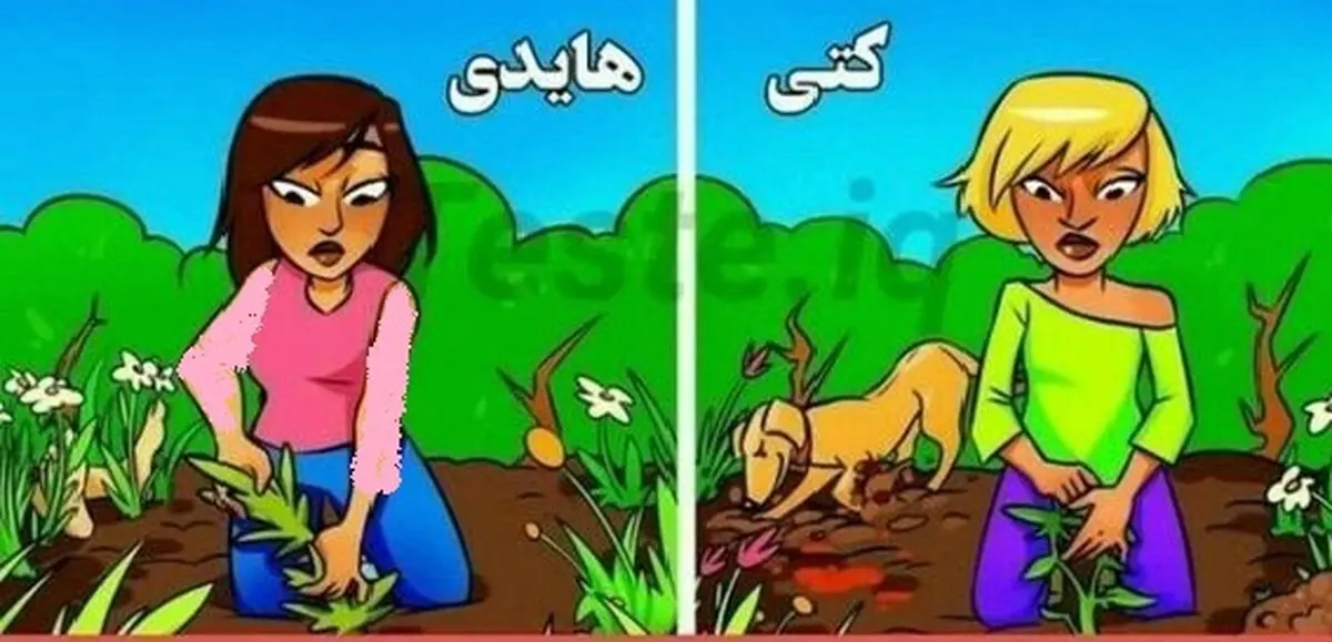 تست و خودشناسی