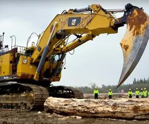 ابزارآلات غول پیکر؛ مهارت های اپراتور بیل مکانیکی در برش درخت پس از تبدیل شدن به تبر 