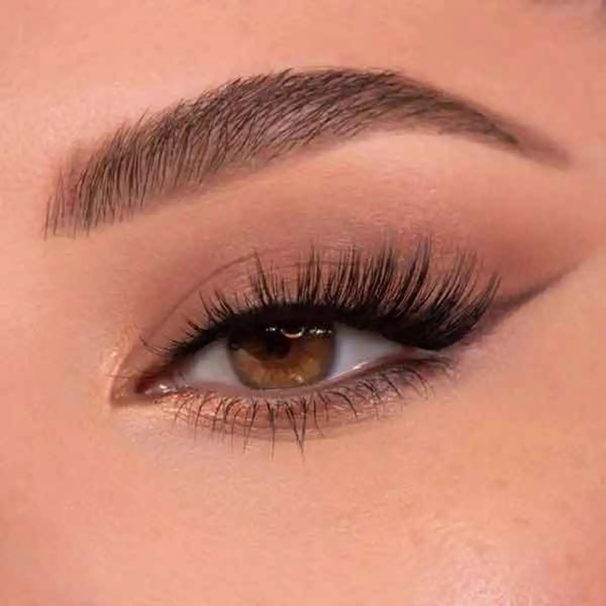 ساده6