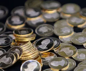 کار دشوار فلز گرانبهای داخلی در روز دوشنبه