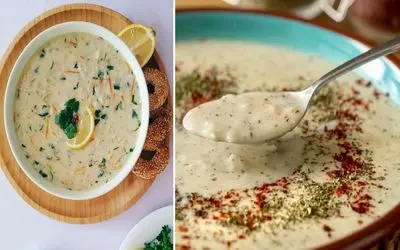 طرز تهیه سوپ ماست با مرغ و شوید / طعم خاص و جذابی که نباید از دستش بدید