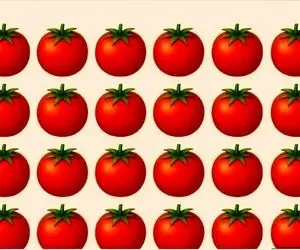 بازی فکری؛ ادعات میشه چشات در حد شمشیر سامورایی تیزه گوجه متفاوت رو پیدا کن