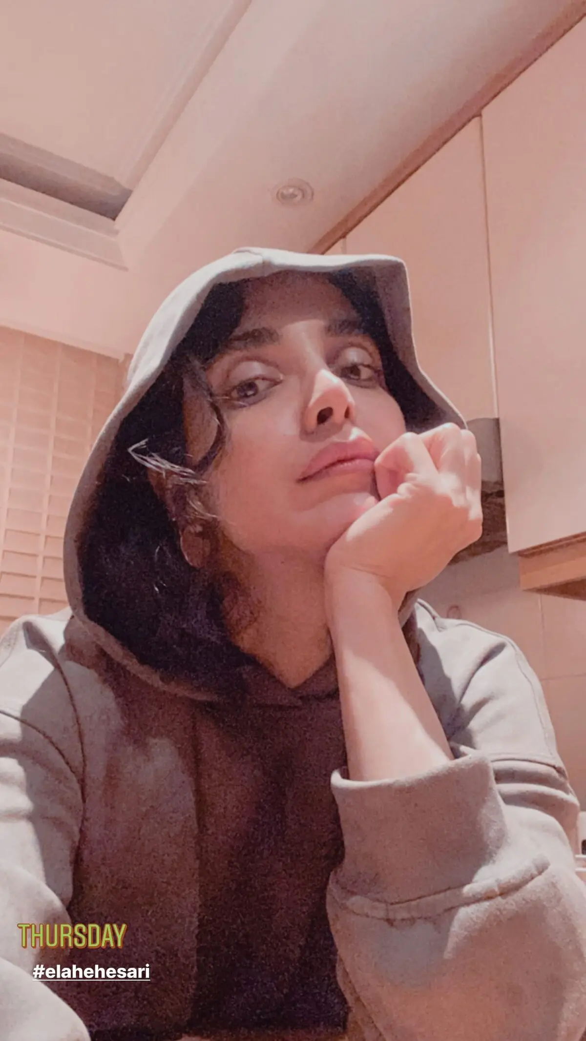 elahehesari_2440950932279776512_595062698