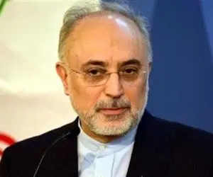 قصد و برنامه‌ای برای کاندیداتوری در انتخابات ندارم