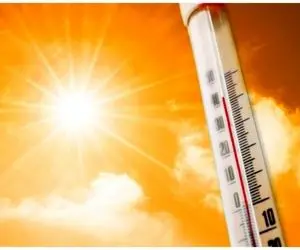 خبر مهم درباره تعطیلی بانک ها و مراکز دولتی در روز یکشنبه 7 مرداد