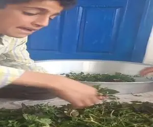 آواز جگرسوز؛ پسر روستایی در غم مادرش آهنگ مازندرانی جان مار خوند تو دلت خون نشت میکنه