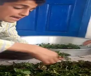 آواز جگرسوز؛ پسر روستایی در غم مادرش آهنگ مازندرانی جان مار خوند تو دلت خون نشت میکنه