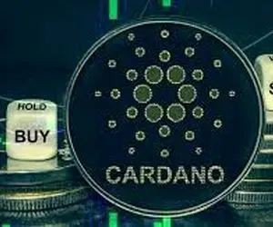 وضعیتی خطرناک برای کاردانو!