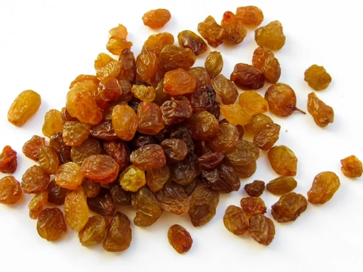 خشک کردن انگور