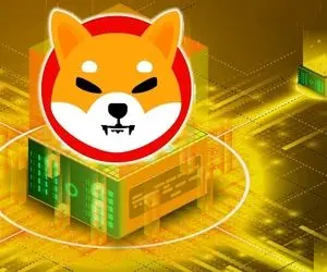 چند حماسه جنجالی از شیبااینو !!