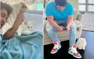 (ویدیو) وقتی گربه اشرافی محمد رضا گلزار عاشق تنیس دیدنه!