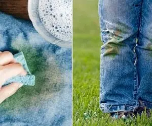 فسقلیت داشت بدو بدو میکرد خورد زمین لباسش رنگ چمن شد؟ عیب نداره اینجوری سه سوته پاکه