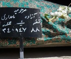 (عکس) تصویری تلخ از آرامگاه ابدی آزاده نامداری