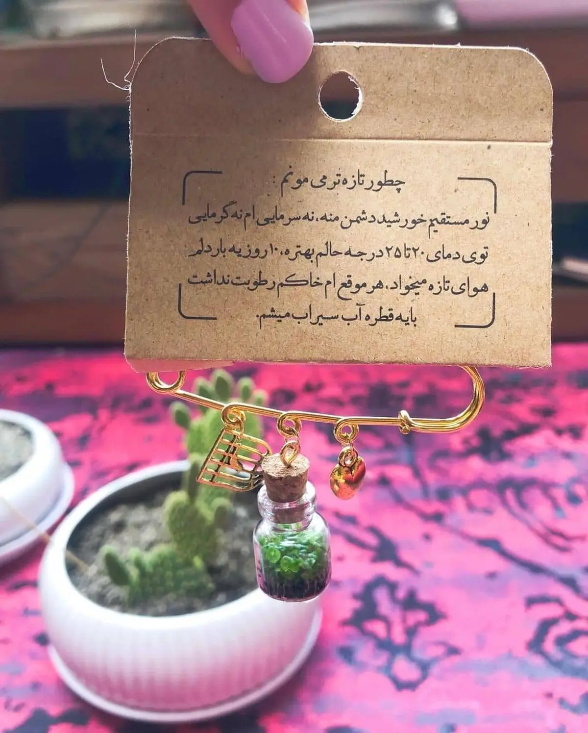 shaghayeghdehghan-plant