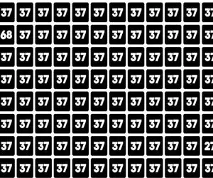 بازی فکری؛ بیناییت رو به چالش بکش و عدد متفاوت رو بین یه عالمه 37 رو پیدا کن