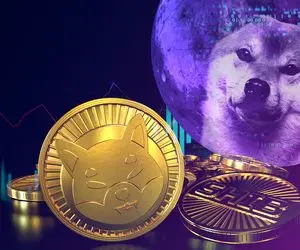 بررسی آینده شیبا اینو؛ چگونه با شیبا اینو در بازار رمز ارزها رفتار کنیم؟