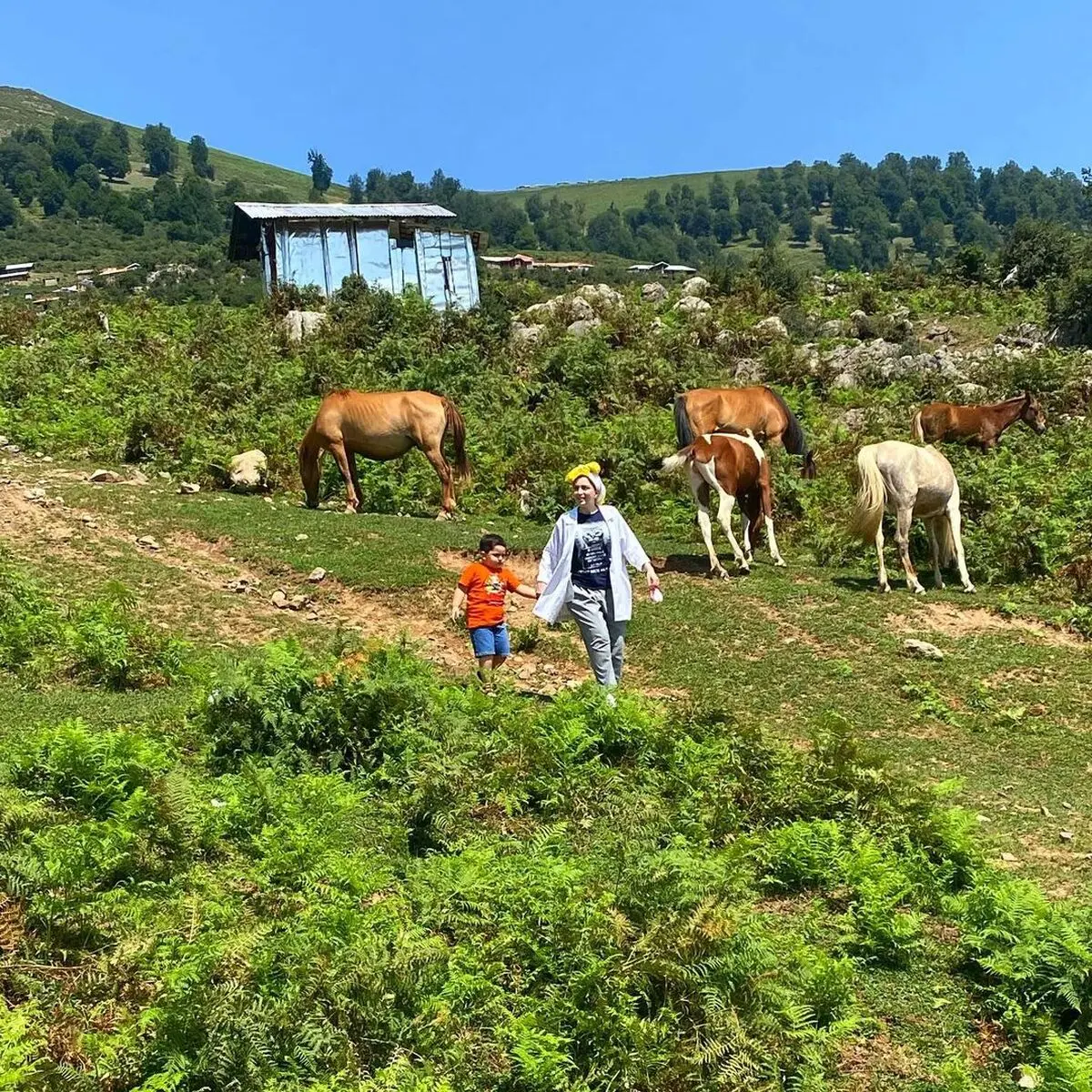 بهنوش طباطبایی