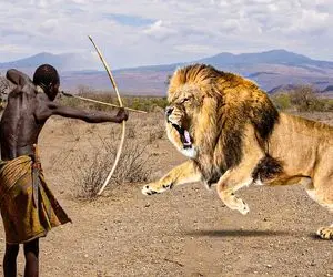 جنگجویان طبیعت؛ بچه بربرهای برهنه با نیزه شیر شکار کرد دستش خورد لاشه شو آورد