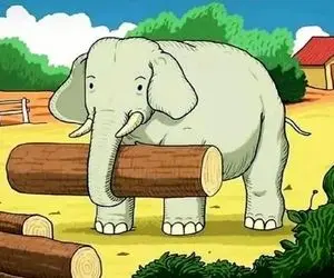 بازی فکری؛ 98 درصد آدما نتونستن اسب مخفی رو پیدا کنن؛ آیا تو جر 2 درصد خاصی؟