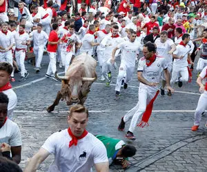فستیوال گاوهای نر سن فرمین اسپانیا؛ خشونت پنهان گاوها که سر مردم آوار شد!