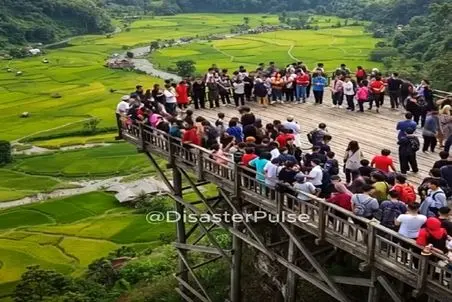 معماری طبیعت؛ مردم سمت چپ پل پرواز کردن