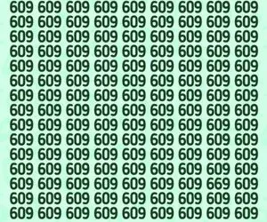 تست هوش تصویری با جواب؛ اگه رَنک اول باهوشای جهان خودتی عدد 669 رو تو عکس پیدا کن!