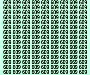تست هوش تصویری با جواب؛ اگه رَنک اول باهوشای جهان خودتی عدد 669 رو تو عکس پیدا کن!
