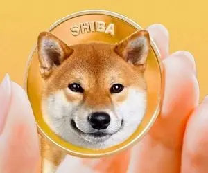 ارتش شیبا اینوهمچنان در حال محبوب شدن؟به چه دلیل؟